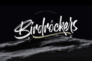 Discover the Urban Charm of Birdrockers Font