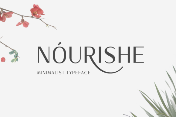 Nourishe: A Modern Sans Serif Font for Professional Branding